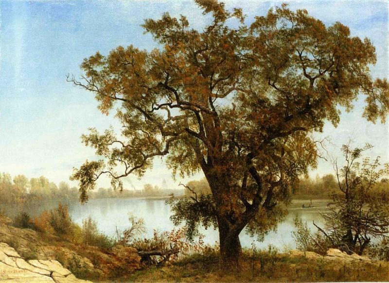 A View From Sacramento, Albert Bierstadt